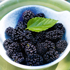 Fruits rouges