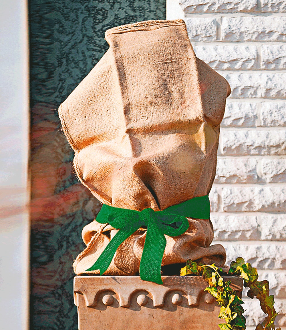 Conseils jardinage